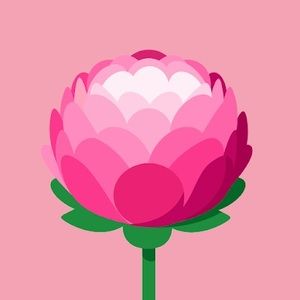 Meet your Posher, Alysha